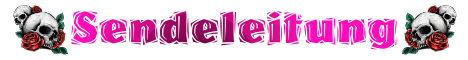 Sendeleitung